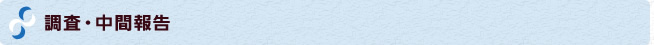 調査・中間報告