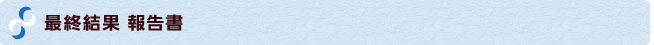 最終結果　報告書