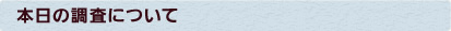 本日の調査について