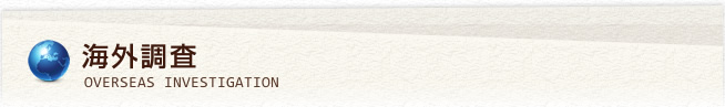 海外調査
