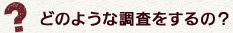 どのような調査をするの？